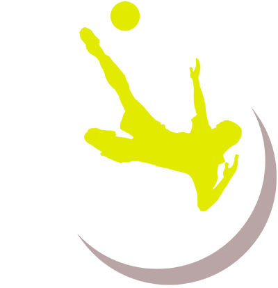 PRO SOCCER DATA