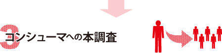 コンシューマへの本調査